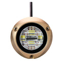 Lumitec Zambezi X2 Surface Mount Underwater Light  White  Blue 101708